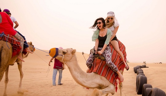 camel riding