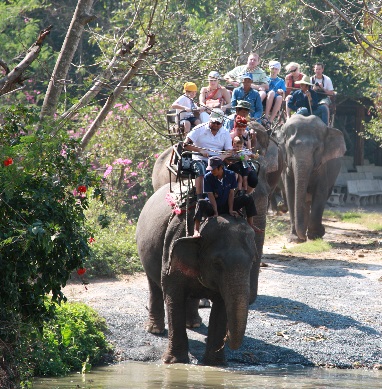 Pattaya Elephant Village 
